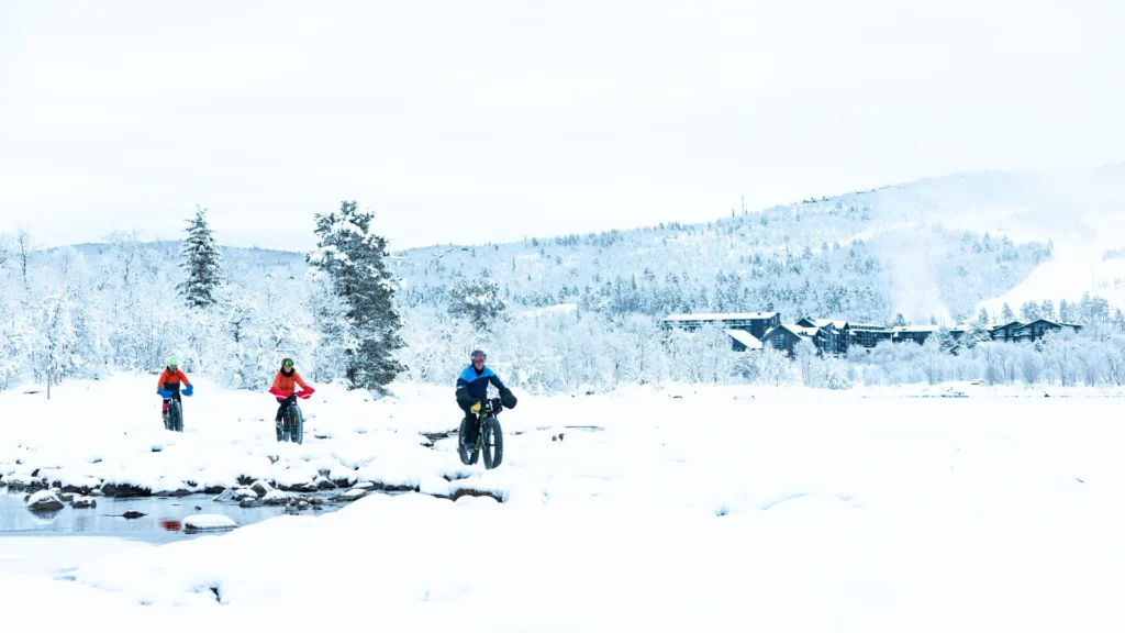 fatbike 1