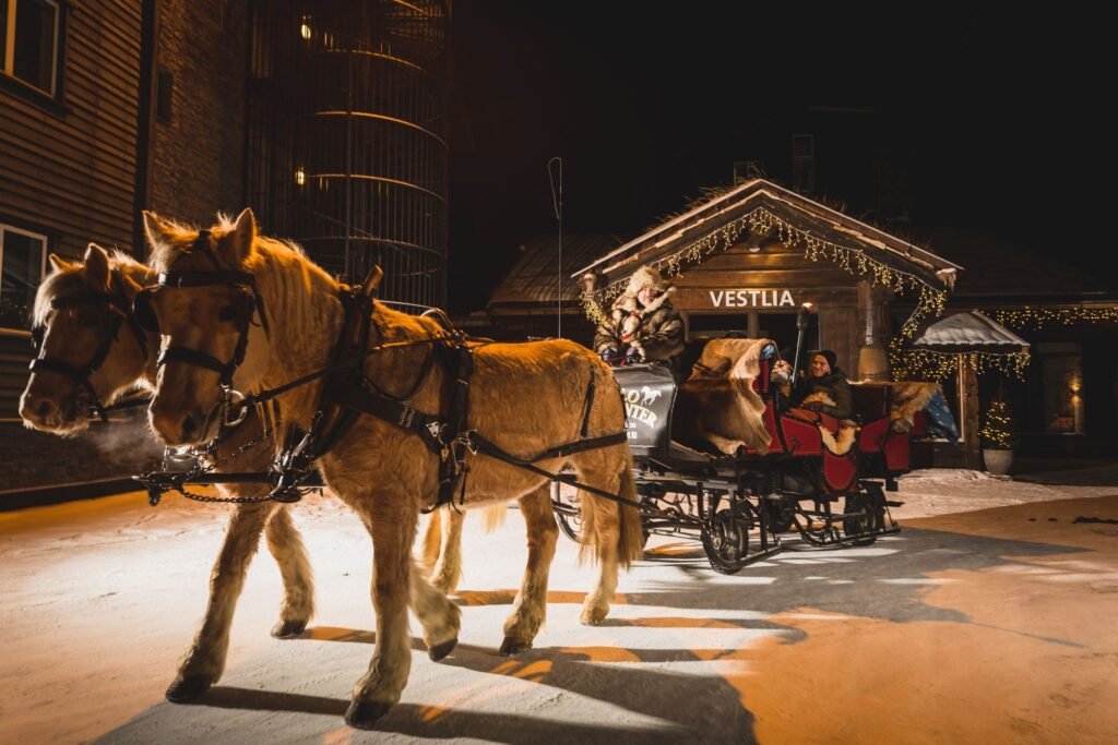 sleigh ride